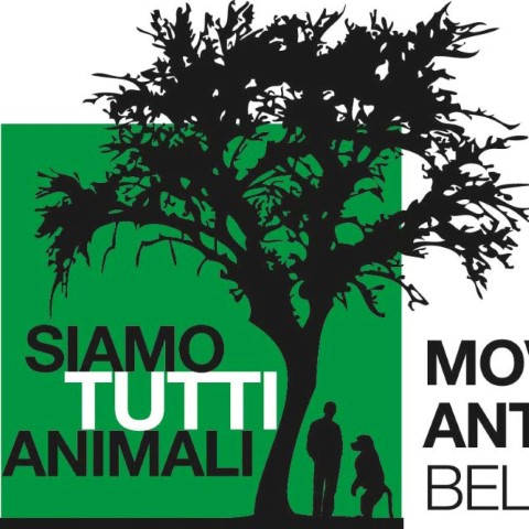 Anche da APACA un no agli animali nei circhi