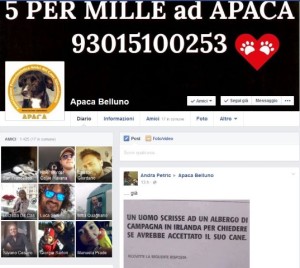 PAGINA FACEBOOK