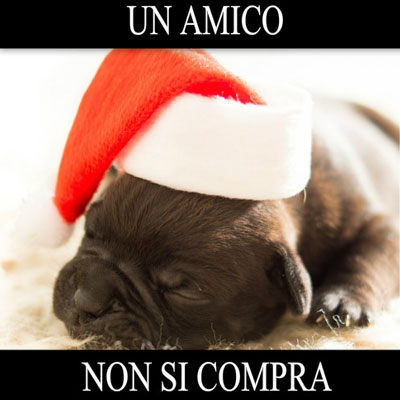 A Natale, meticcio o di razza? In ogni caso, mai on-line.