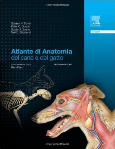 libro anatomia cane e gatto