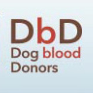 A Belluno solo due veterinari aderiscono alla Dog blood Donors