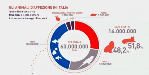 Statistiche animali