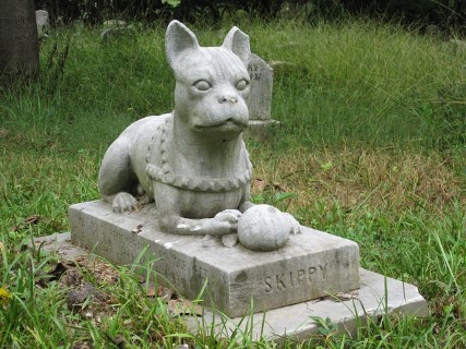 Anche in Veneto, animali domestici seppellibili in giardino