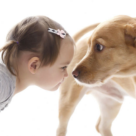 cane e bambino