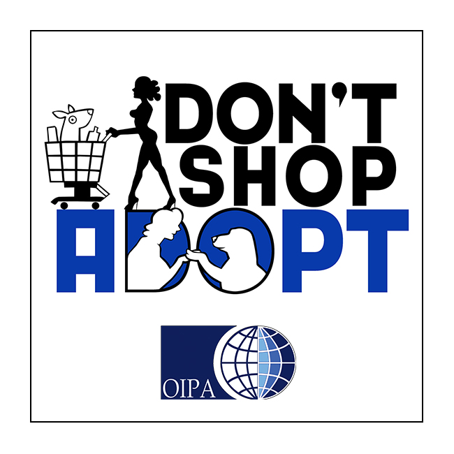 “Don’t shop, adopt”: un no chiaro e forte al cane sotto l’albero