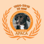 Cosa vuol dire “fare il volontario animalista” in APACA? Parte seconda.