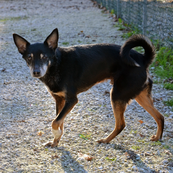 Rocky si gode finalmente una famiglia