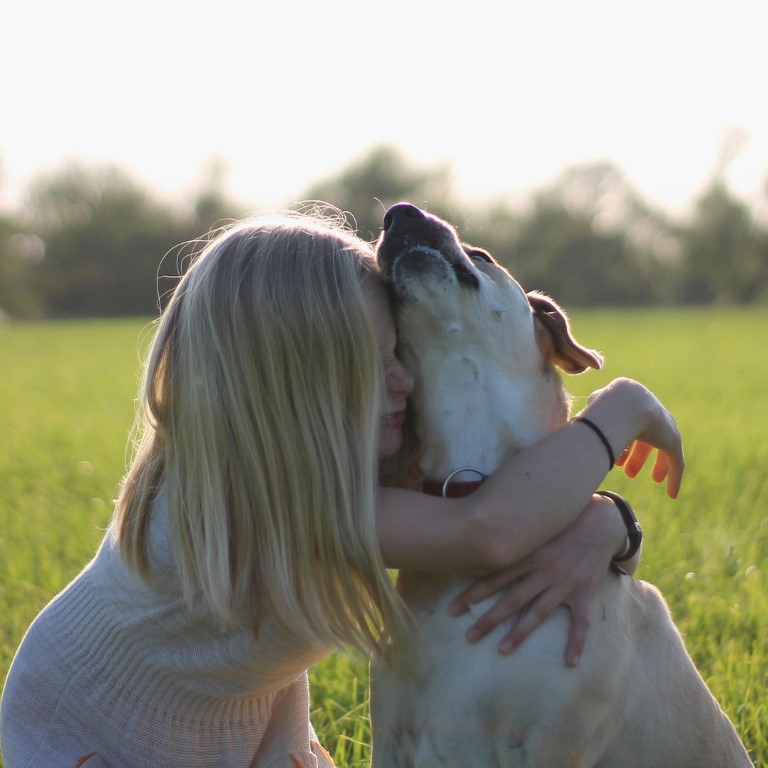 I cani e le persone fragili