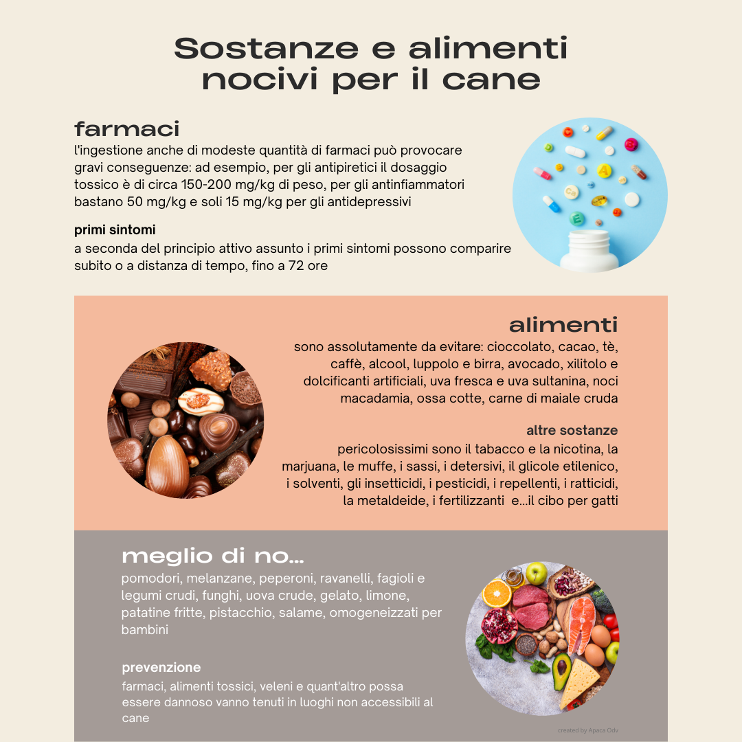 infografica alimenti nocivi