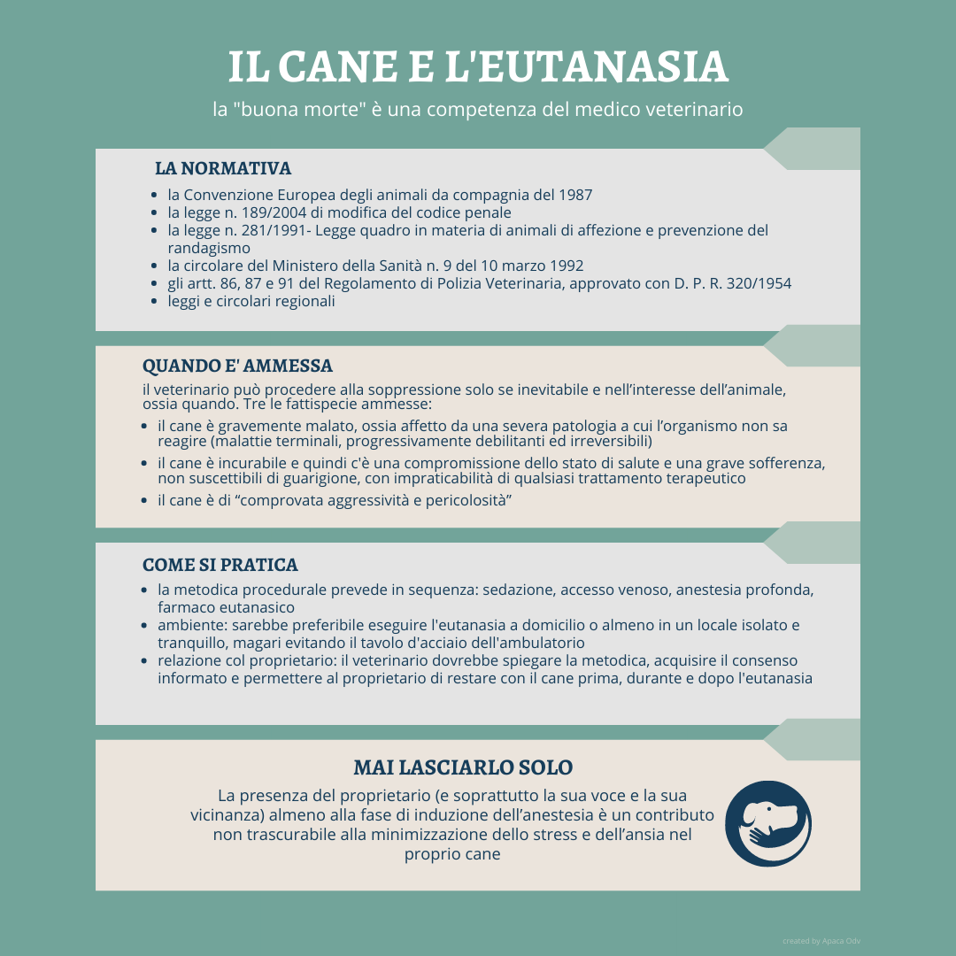 infografica cane e eutanasia