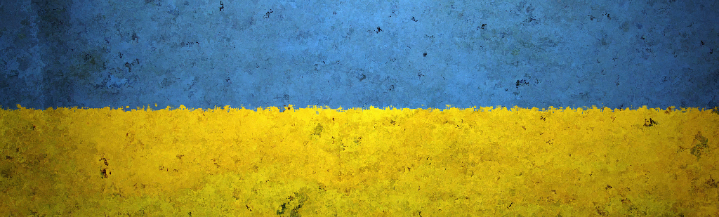 LA GUERRA IN UCRAINA
