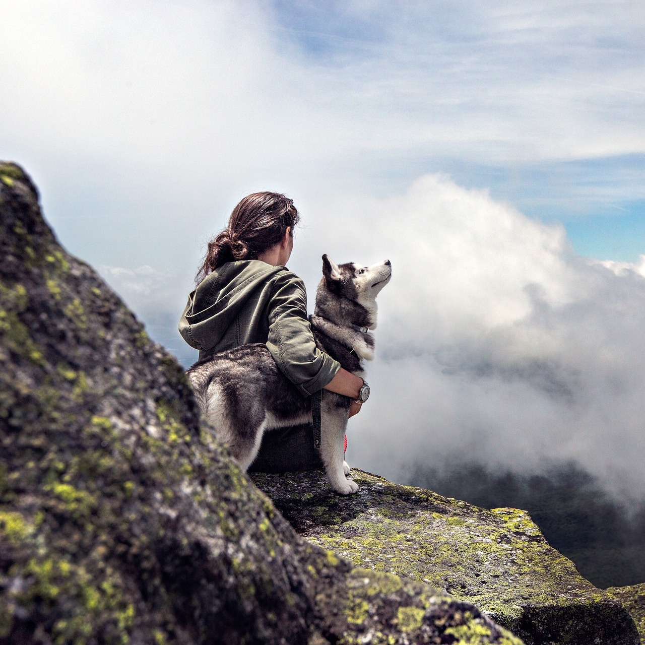 Cani in montagna: dove e come possono alloggiare?